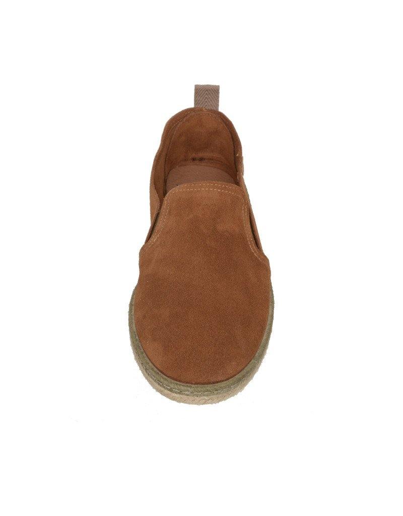 Verbenas Tom Setter - Image 3